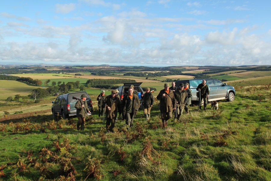 Ferreting for rabbits in Scotland Hunting rabbit: start of the day on the Lammermuir hills