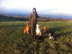 Sarah Mottram: Gamekeepers wife, underkeeper, keen shot and game cook Sarah Mottram and her gundogs.