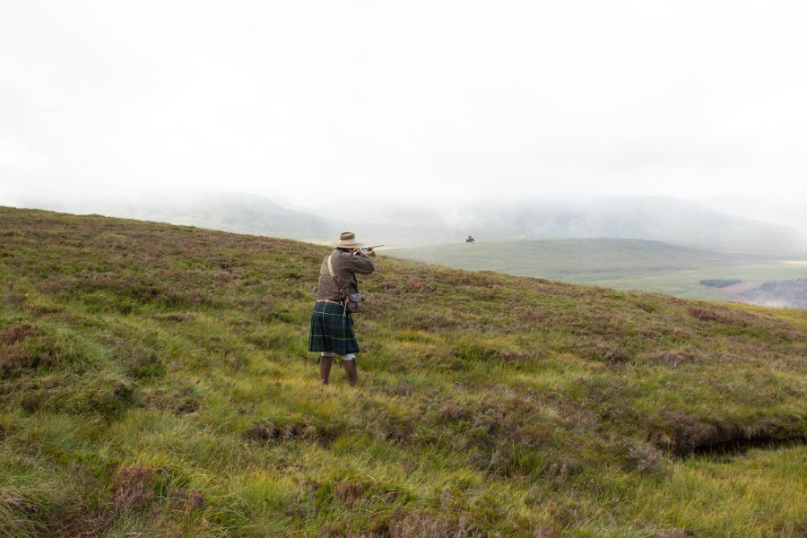 Grouse shooting over pointers in the Scottish Highlands Hunter shooting the groose