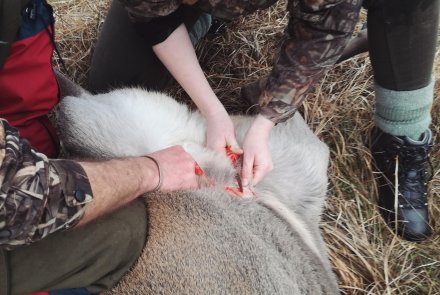 Lady hunter India Annand