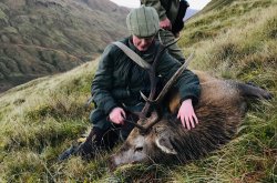 A Scottish lady hunter: Judith Hogg A lady hunter respects her first stag.