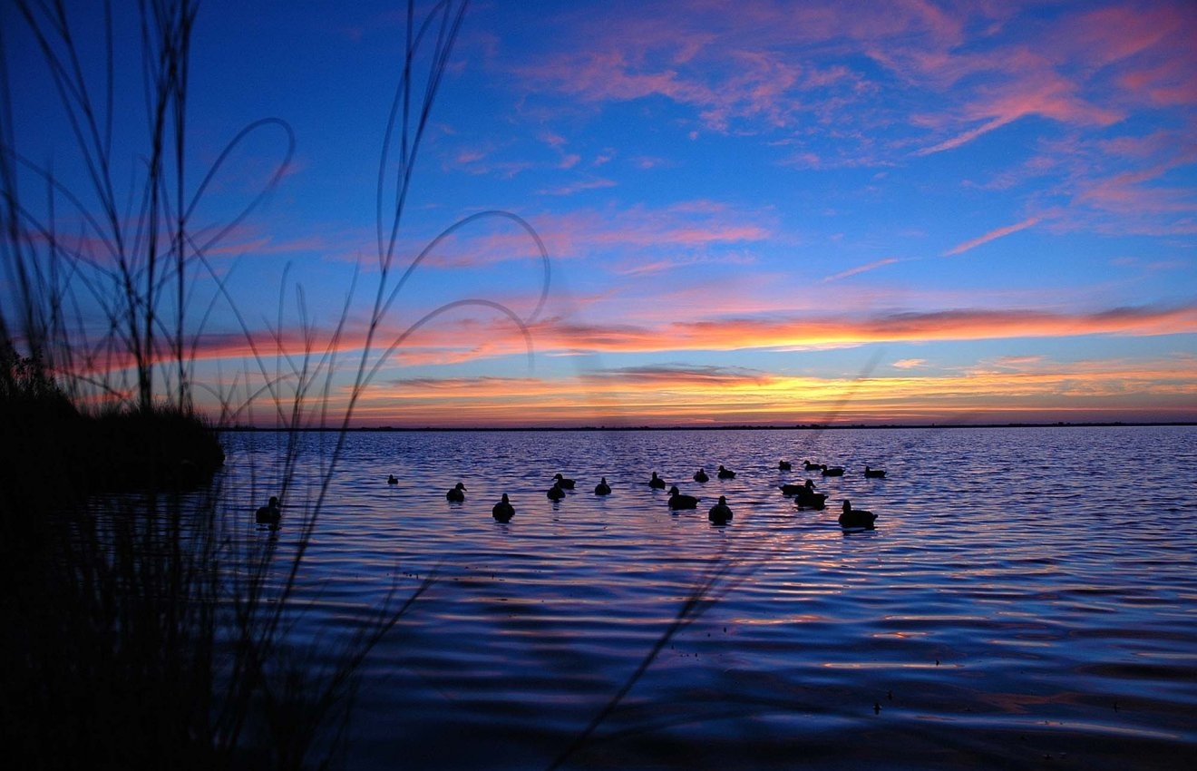 culture: Lead ban in wetlands: the European General Court rejects all legal challenges. Lead shot is now finally forbidden from February 15, 2023 on EU-level