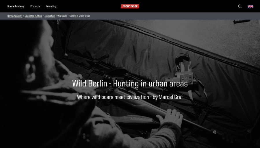 Shooting tips from the pros: Norma Academy prepares you for successful wild boar hunting Stadtjagd in Berlin