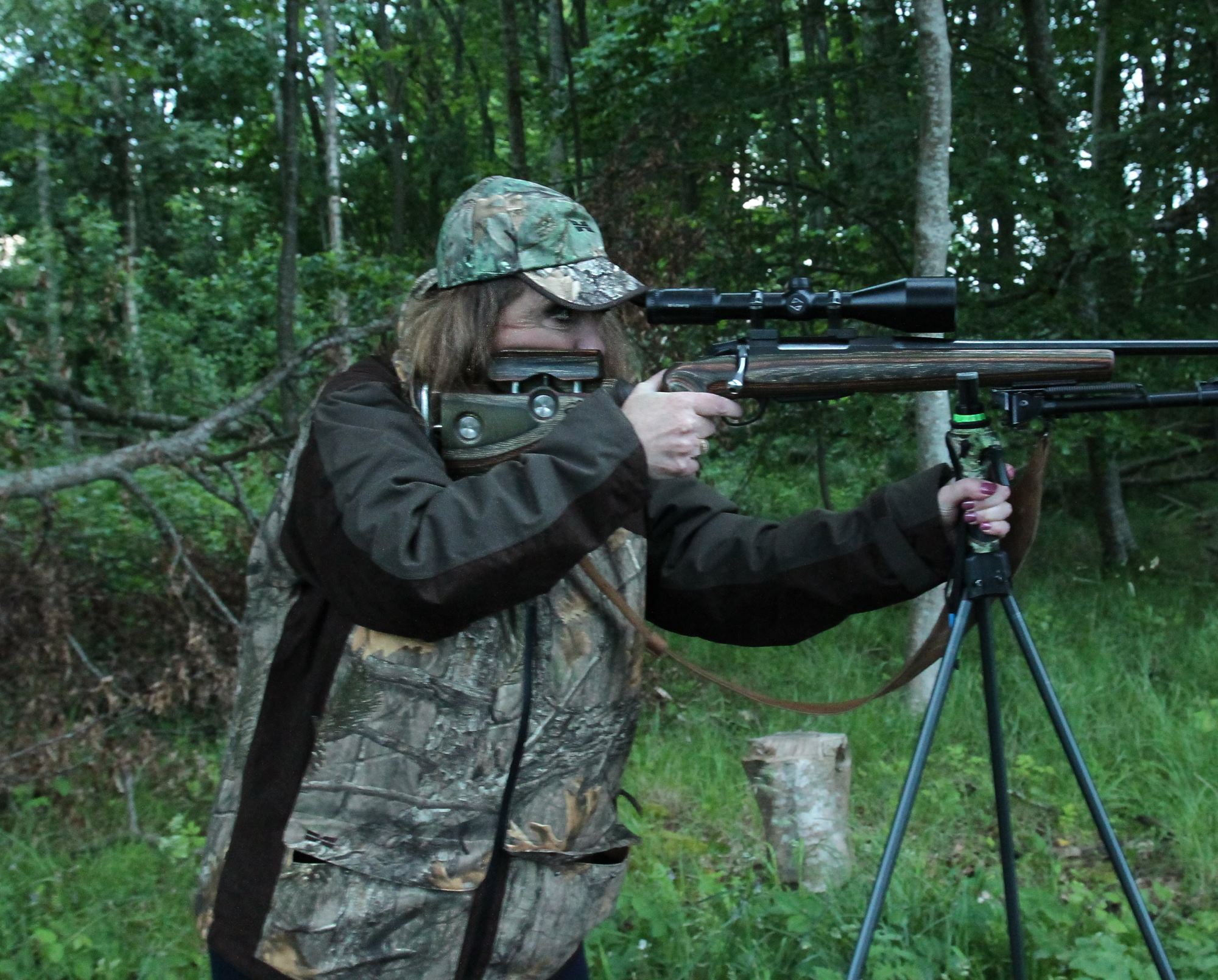 hunting: Scottish roe deer stalking: part II