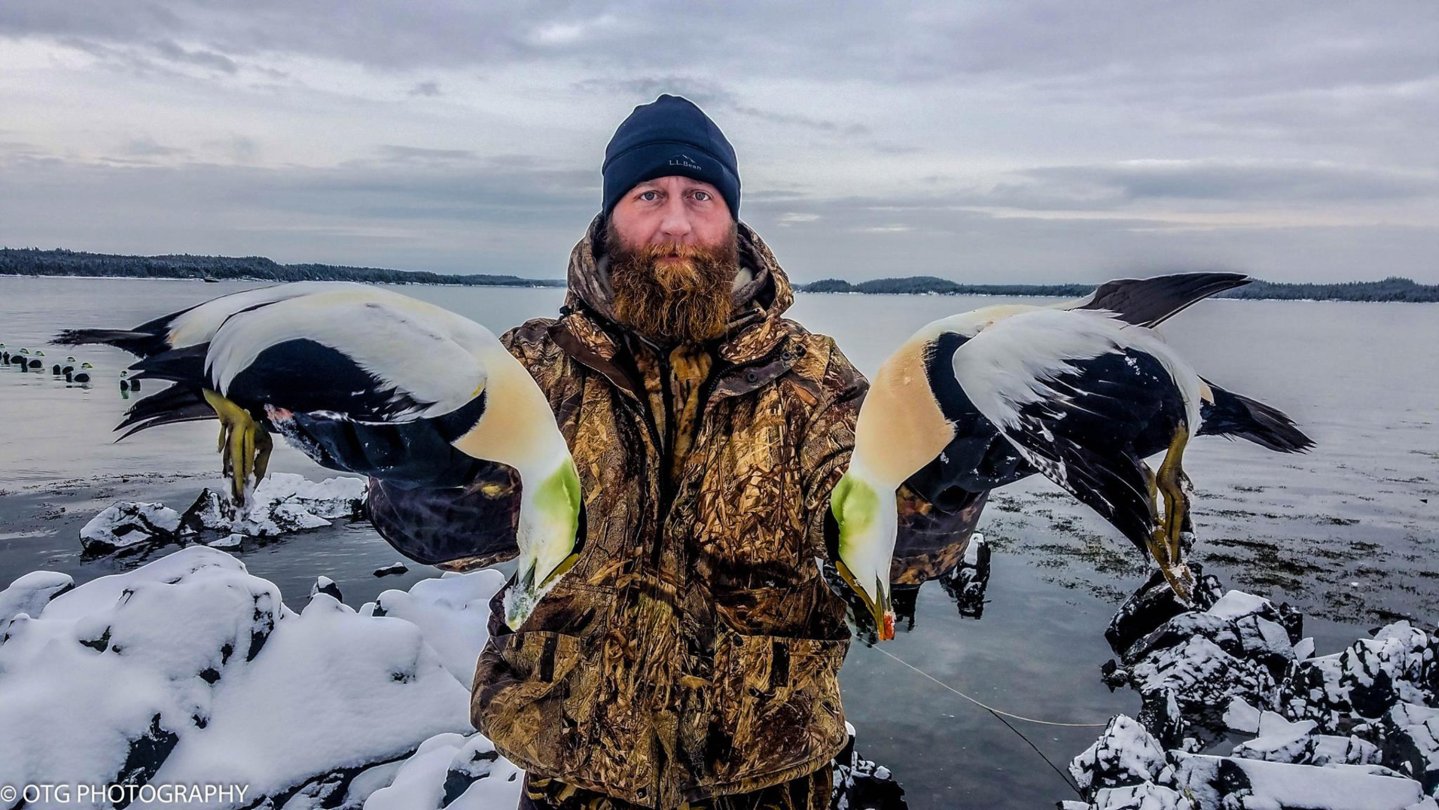 Hunting common eiders in Maine. 