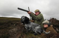Shooting driven grouse Couple in grouse butt with spaniel