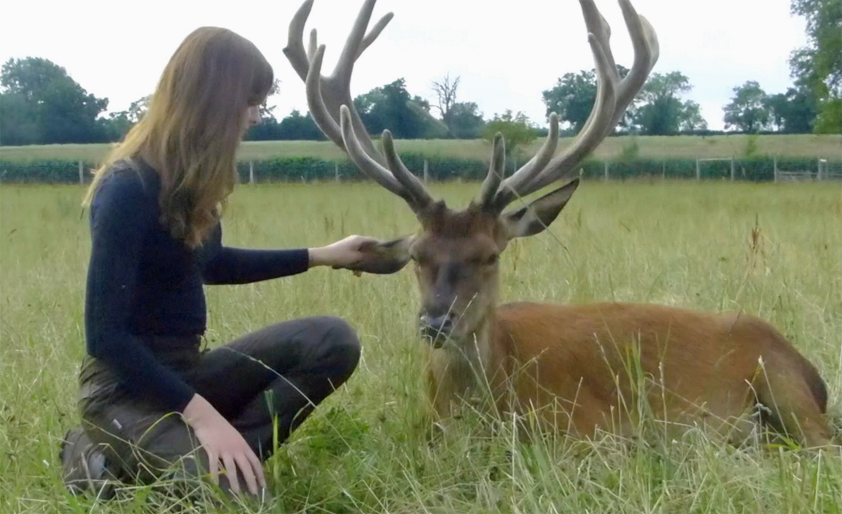 hunting-stories: Sophie Littlewood: deer stalker, deer artist and aspiring collector of exotic deer species.