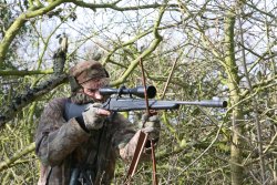 Hunting Muntjac: how to hunt them successfully Hunter stalking up to a barking muntjac