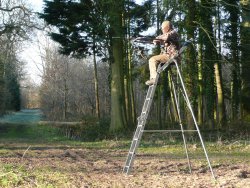 Hunting Muntjac: how to hunt them successfully Hunter on a high seat during hunting Muntjac
