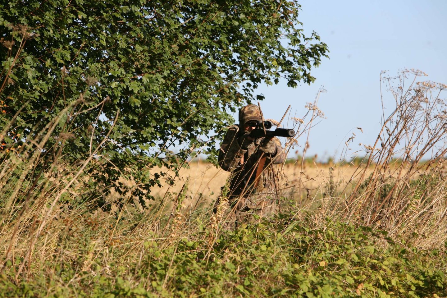 Hunting Muntjac: how to hunt them successfully Hunter during muntjac stalking