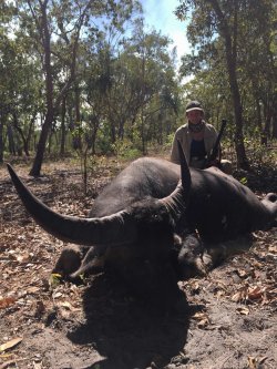A Scottish Lady Hunter Cara Richardson and a buffalo taken with rifle Winchester double 9.3x74.