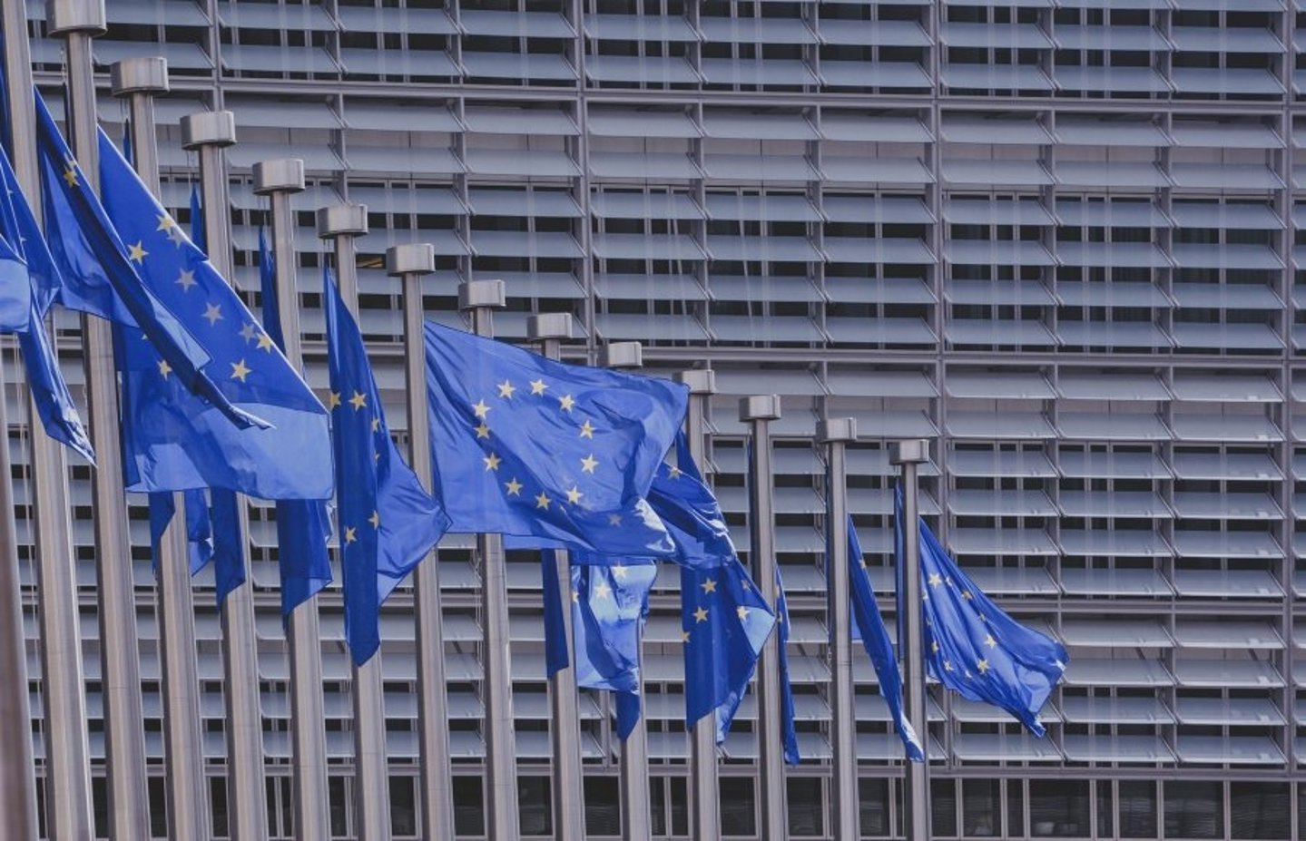 The EU "Biodiversity, Hunting, Countryside" Intergroup has its new president EU flags