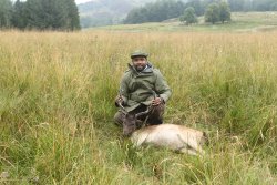 USA Hunters visit Scotland to shoot grouse and hunt deer USA Hunter with dead sika