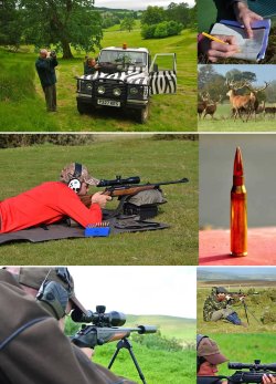WMS Firearms Training in the UK WMS Firearms Training and Andrew Venables offer personalized firearm training courses for hunters, sport shooters, and professionals in the United Kingdom