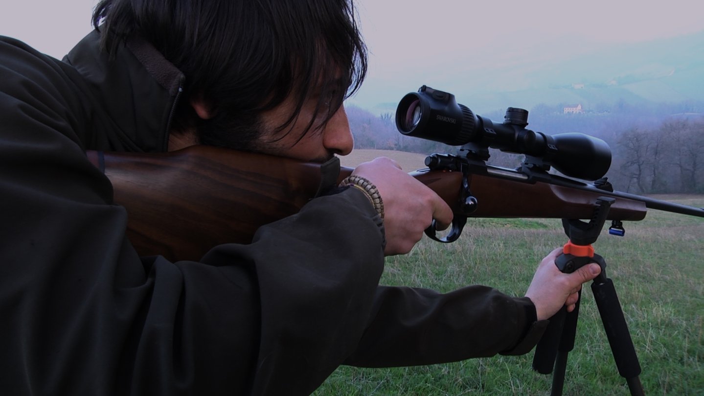 Wild boar selective hunting 