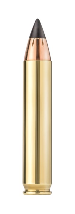 AR-style carbine in .350 Legend: the Rock River Arms LAR-15M CAR A4 Rock River Arms LAR-15M CAR A4: Deer Season load with 150-gr bullet