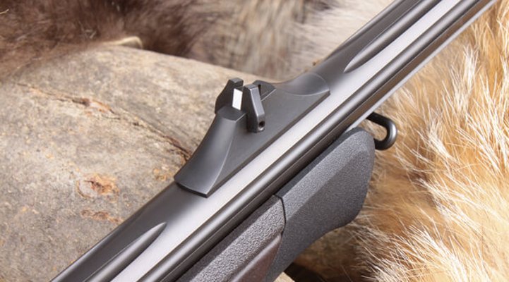 Blaser R8 Professional Success