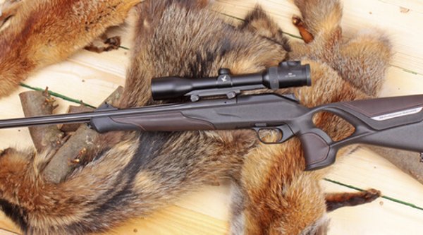 Blaser R8 Professional Success