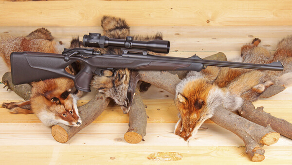 Gallery: Blaser R8 Professional Success