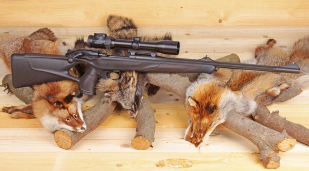 Blaser R8 Professional Success