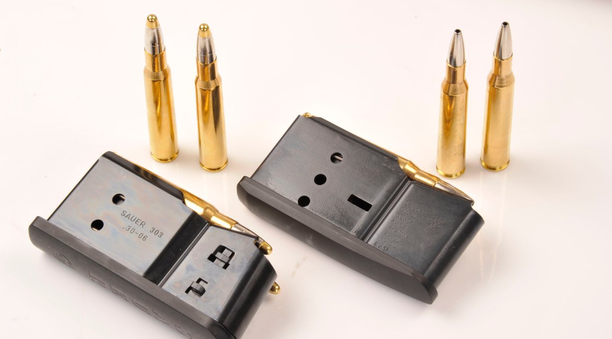 Sauer 202 e 303