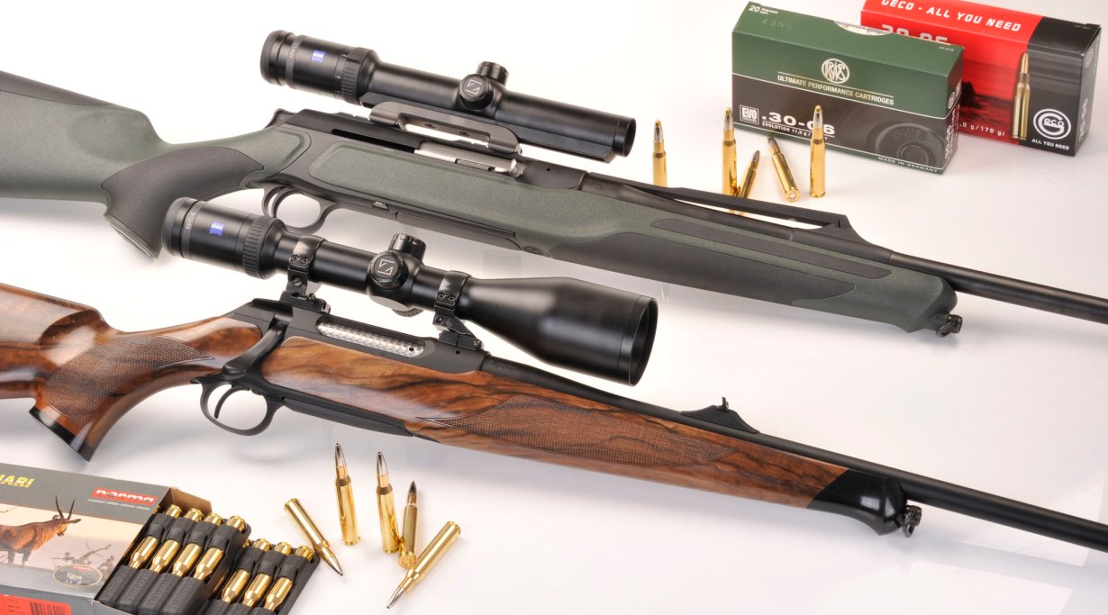 Sauer 202 e 303