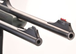 Sauer 202 e 303 Sauer 202 e 303