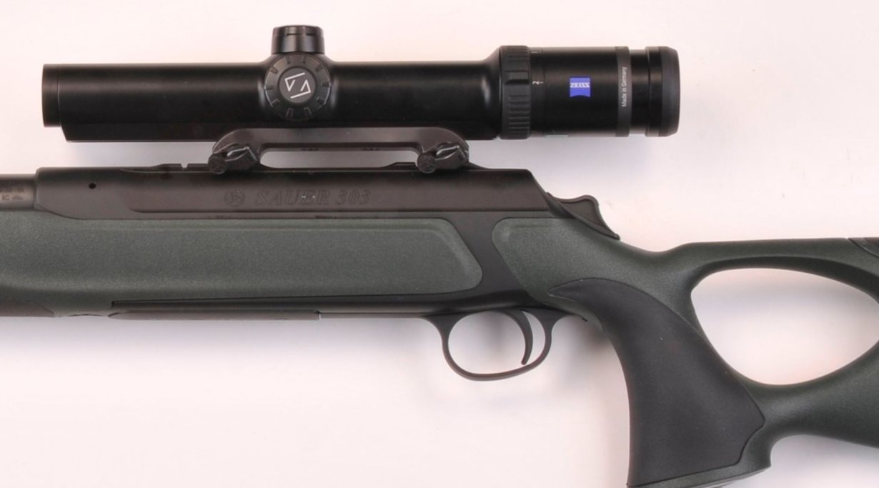 Sauer 202 e 303
