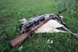 User test: Unique Alpine JPR-1 Europa – Nandu hunting with the 6.5 Creedmoor caliber bolt-action rifle The nandu yearling put down