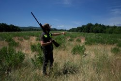 Benelli Black Eagle: the field test of the new semi-automatic shotgun during the Benelli Hunting Test Adventure – With video The cryogenically treated barrels of the Black Eagle are available in 65, 70 and 76 cm lengths