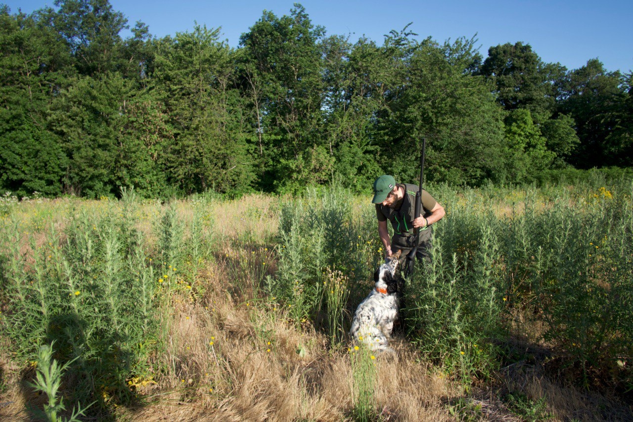 benelli: Benelli Black Eagle: field test of the new semi-automatic shotgun during the Benelli Hunting Test Adventure