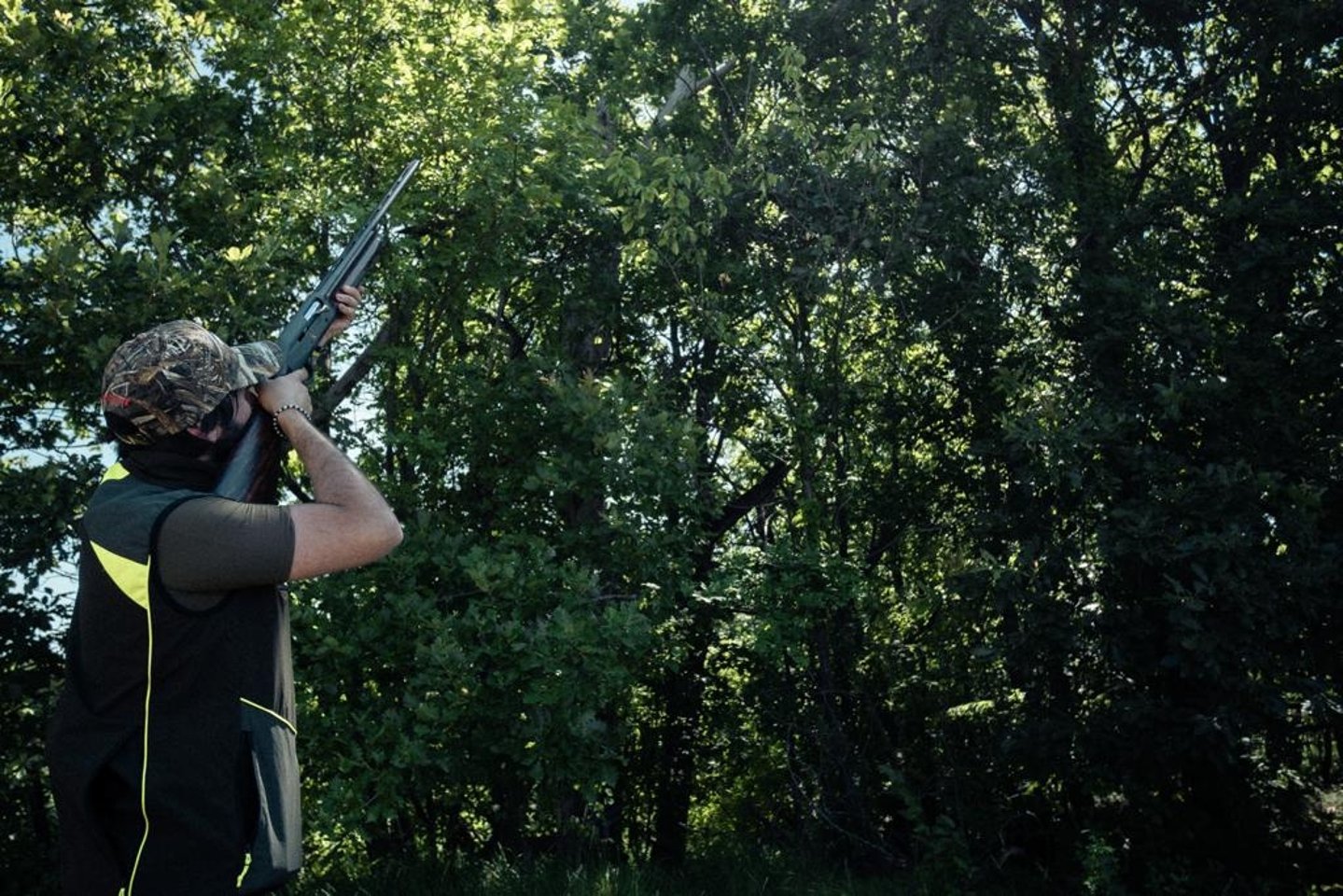 Benelli Mygra: the 20 gauge shotgun for migratory hunters field tested Benelli Mygra in 20 gauge.