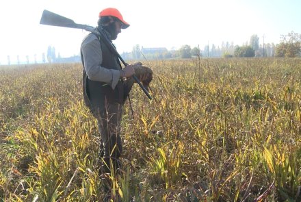 F.A.I.R Iside Prestige: hunting with a 20-gauge side-by-side shotgun Hunter with F.A.I.R Iside Prestige 20-gauge side-by-side shotgun