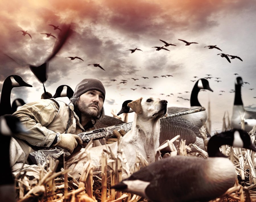 Franchi Intensity Franchi Intensity