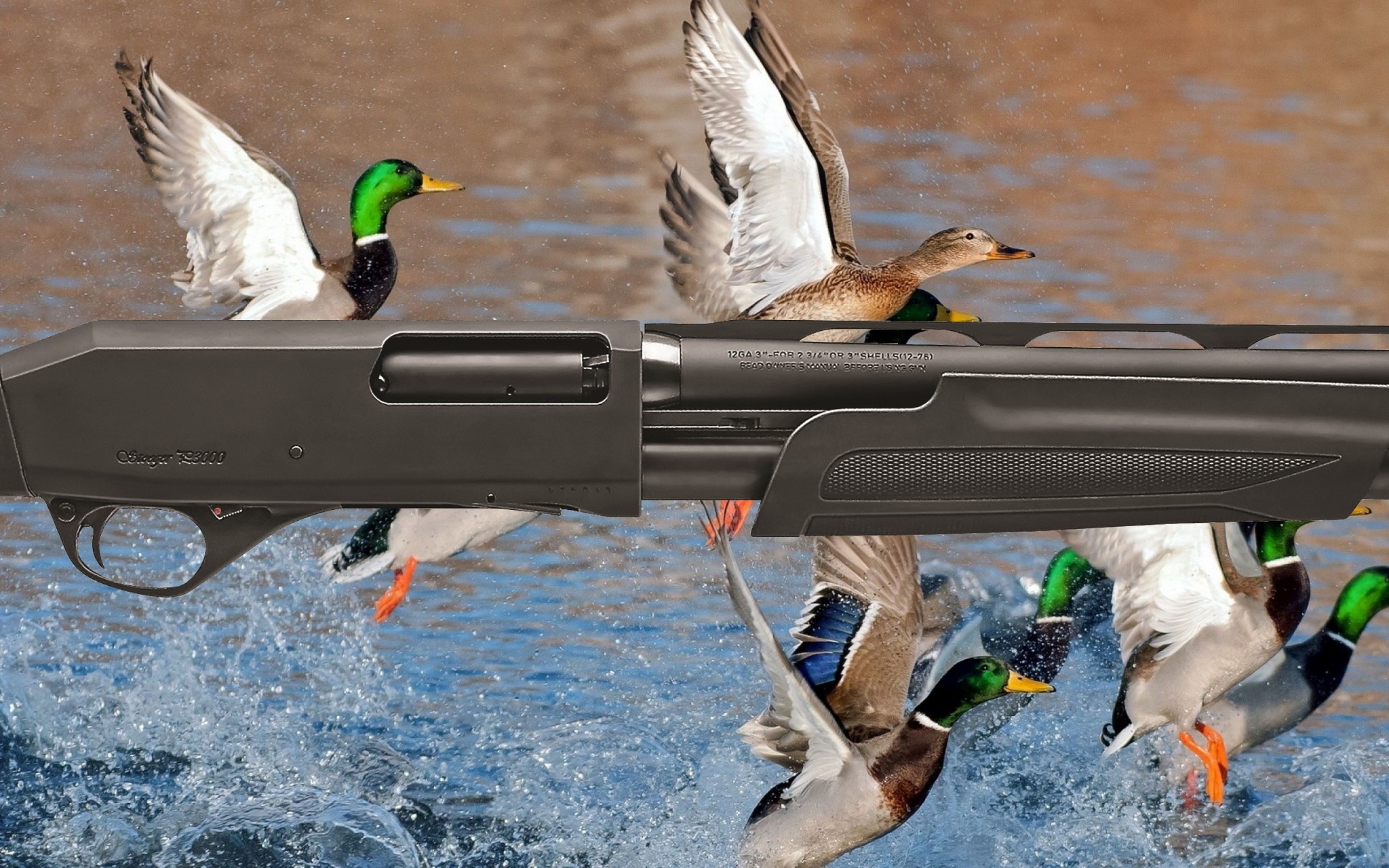 stoeger: Stoeger P3000 pump-action shotgun is Outdoor Life's 2016 "Great Buy" stoeger: Stoeger P3000 pump-action shotgun is Outdoor Life's 2016 "Great Buy"