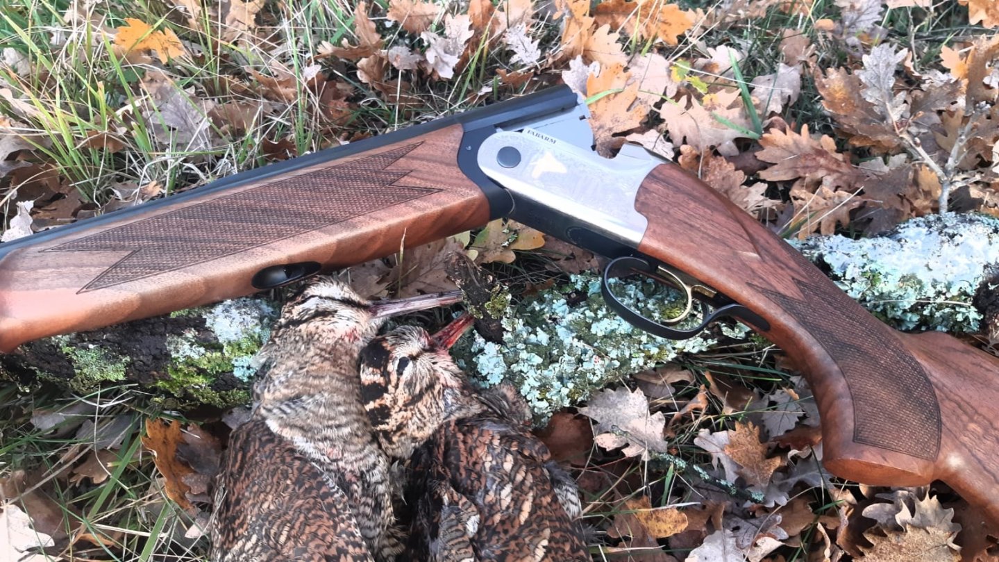 Woodcock hunting with the Fabarm Elos B2 Classic Paradox Gold over-under Woodcock hunting with the Fabarm Elos B2 Classic Paradox Gold over-under