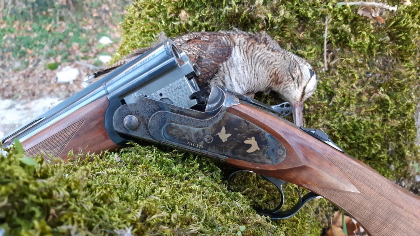 Woodcock hunting with the Fausti Class SLX