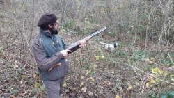 Woodcock hunting with the Fausti Class SLX Hunter with the Fausti Class SLX over/under in 20 gauge.