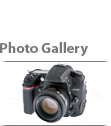 Photo Gallery
