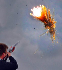 Firebird Targets Shooting Star 65 Firebird Targets Shooting Star 65