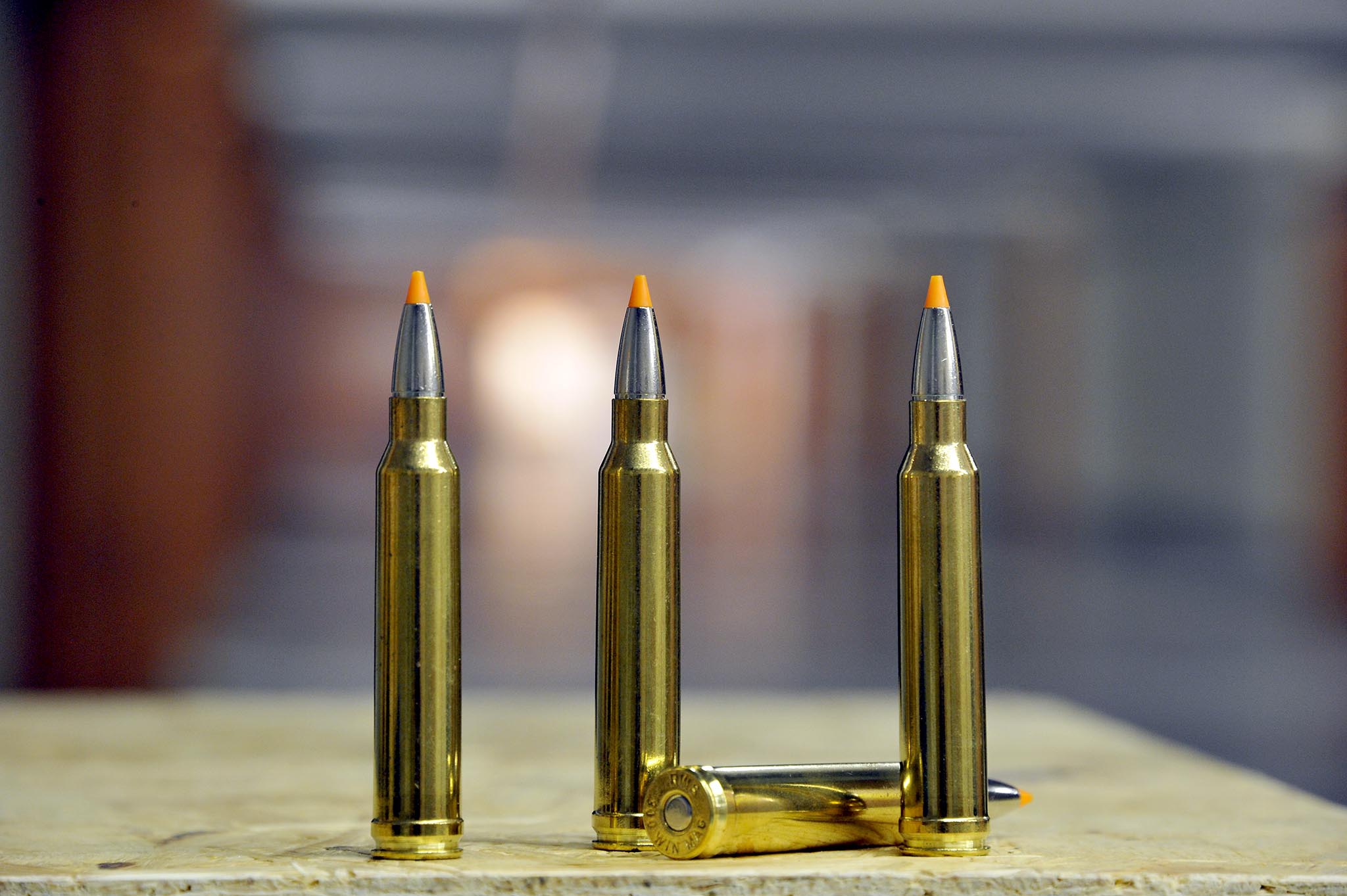 The .300 Winchester Magnum ammunition in the RWS HIT lead free loading with...