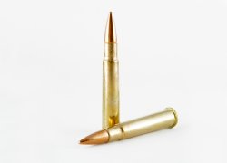 Ammunition: the .303 British caliber Ammunition: the .303 British caliber