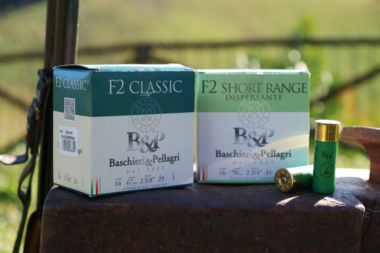 Baschieri & Pellagri F2 cartridges in 16 gauge P1122757.JPG