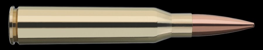 Cartridge portrait: RWS Target Elite Plus, factory ammunition in handloader quality – With video Profile of the new RWS .338 Lapua Magnum cartridge from the Target Elite Plus series