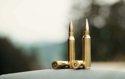 RUAG introduces the new .375 Swiss P professional sniper caliber .338 Lapua Magnum (left) and RUAG's new .375 SWISS P