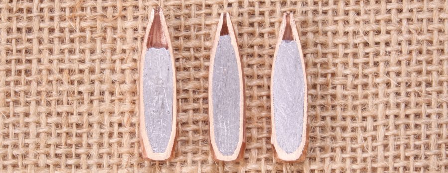 RWS Scorion: the new "Made in Germany" match bullet in extensive testing on the shooting range Cross section of three match bullets
