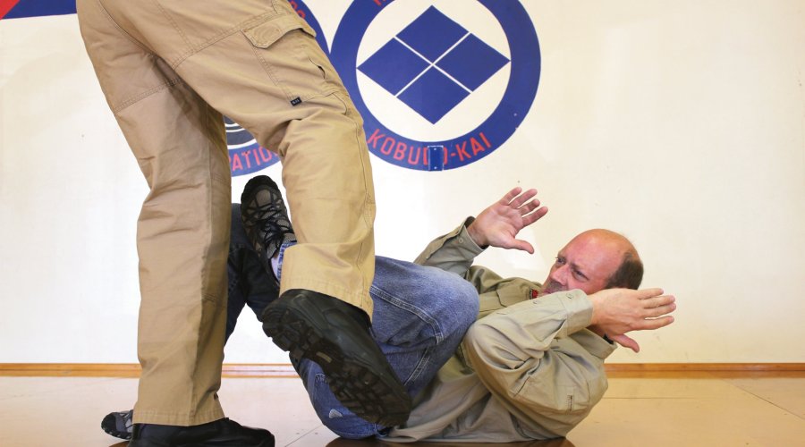 Defense against kicks on the ground