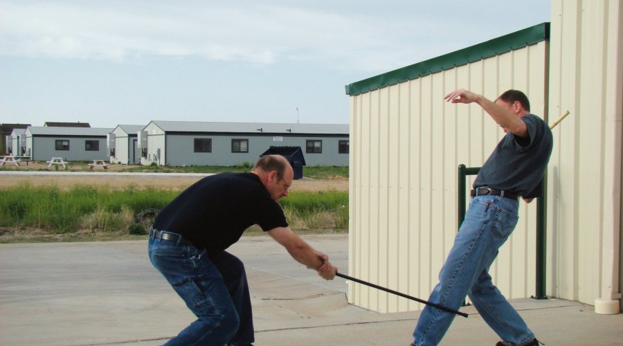 Defense techniques with the walking stick: low blow