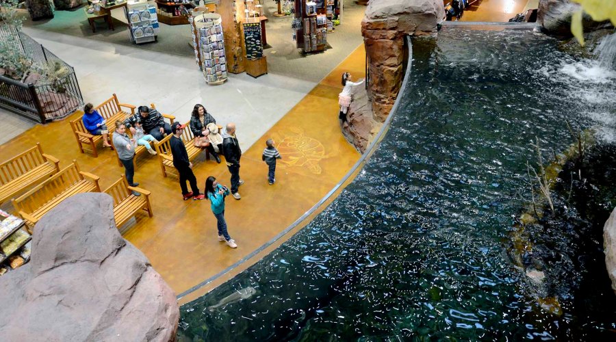 Aquarium from above