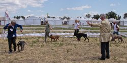 Game Fair 2015 Game Fair 2015